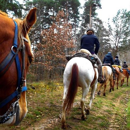Les Gites Du Val Valprivas Dış mekan fotoğraf